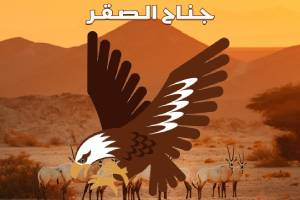 جناح الصقر العاب سعودية